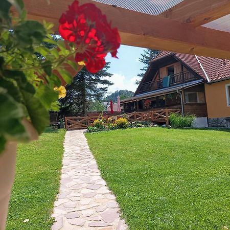 贝拉维塔酒店 Český Krumlov 外观 照片