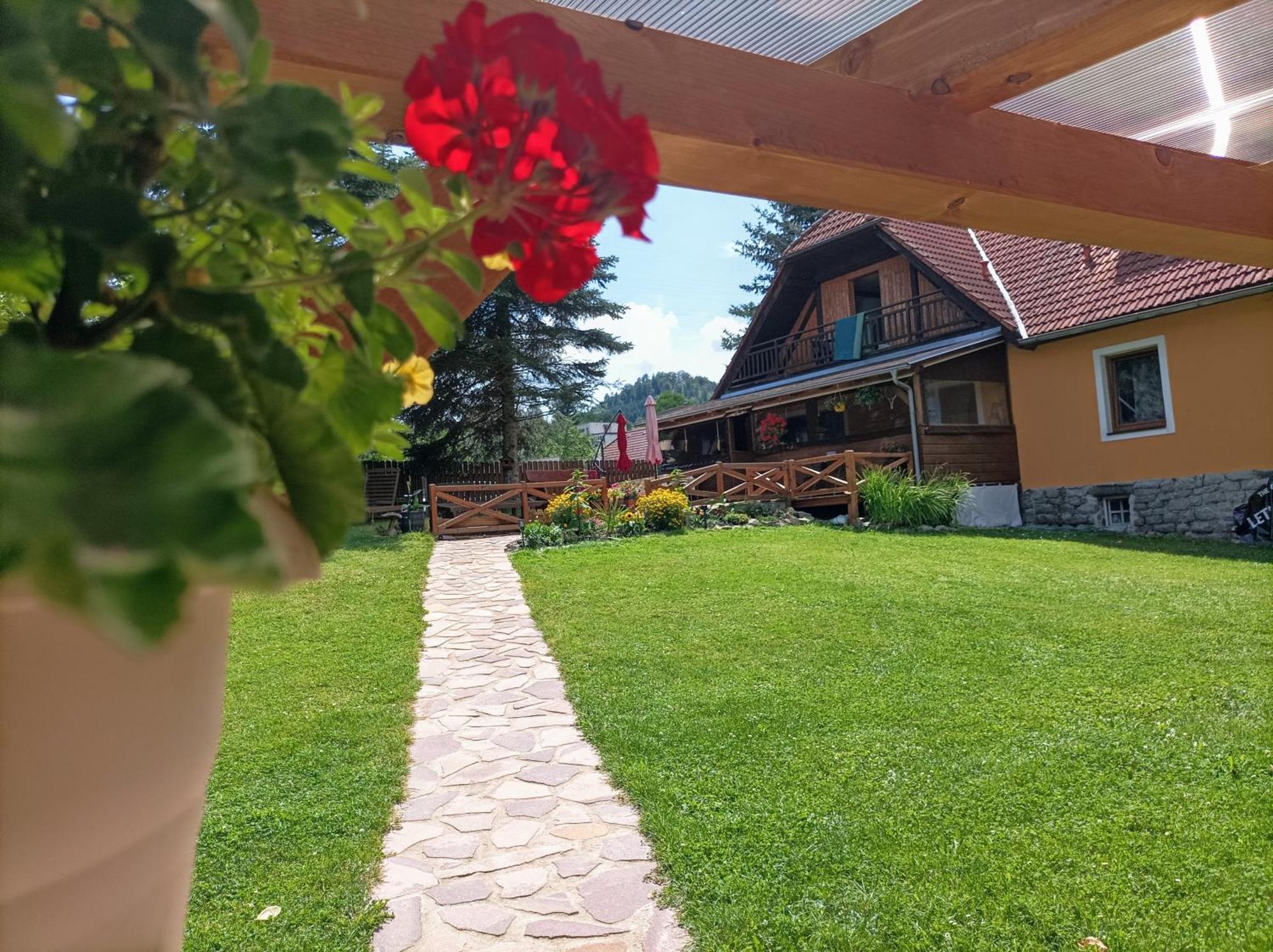 贝拉维塔酒店 Český Krumlov 外观 照片